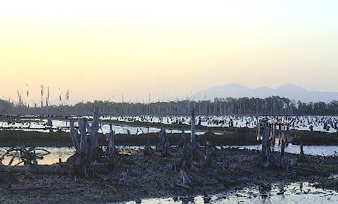 Gubernur Baru dan Lingkungan Hidup Gorontalo