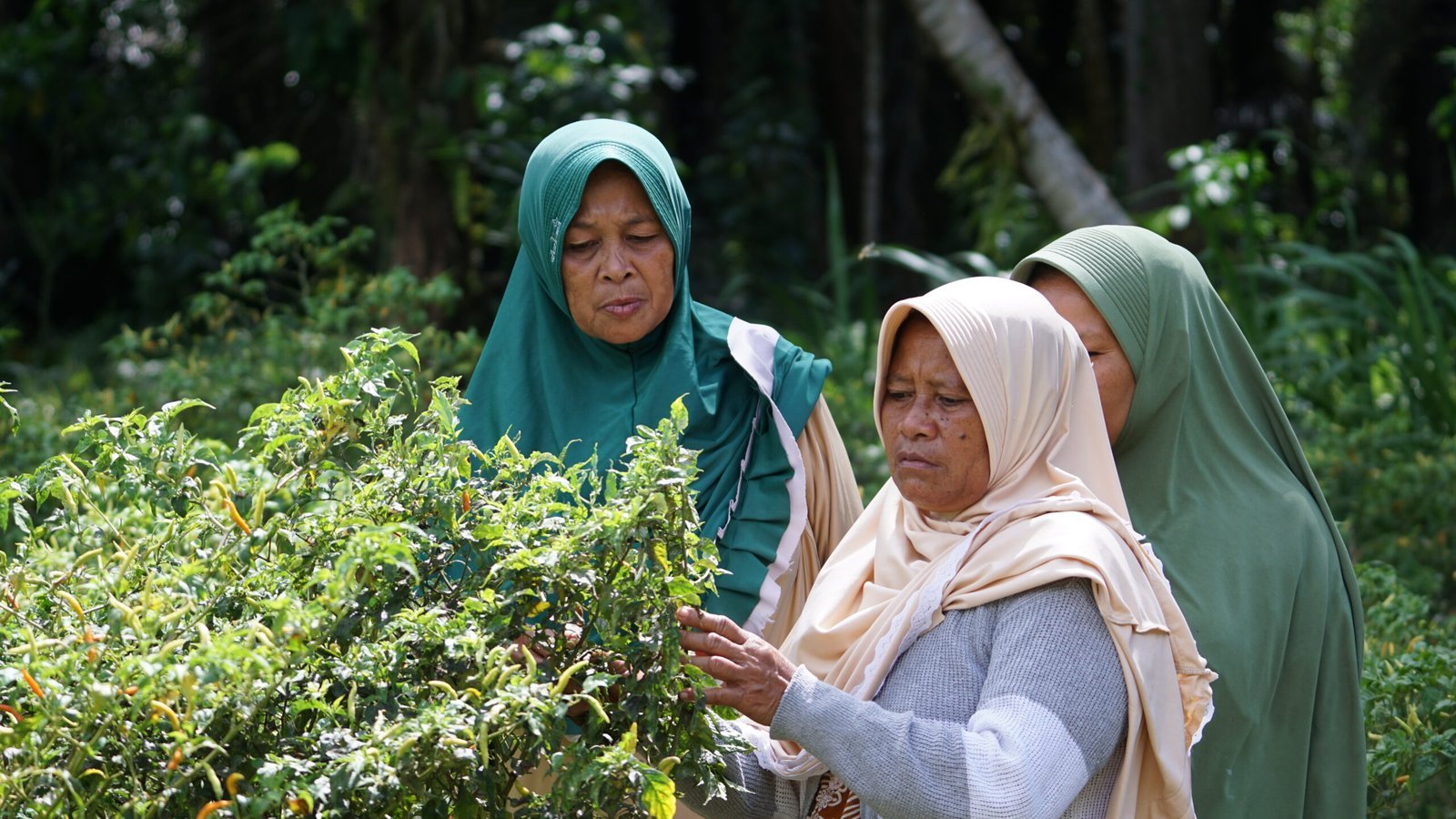 International Women’s Day: Suara dari Perempuan yang Terpinggirkan