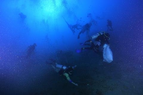 Lewat Aksi Beach Clean, Japesda Tegaskan Laut Bukan Tempat Sampah Raksasa