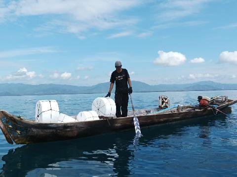 Penutupan Sementara Lokasi Tangkap Gurita Torosiaje, Apa Saja Tantangannya?