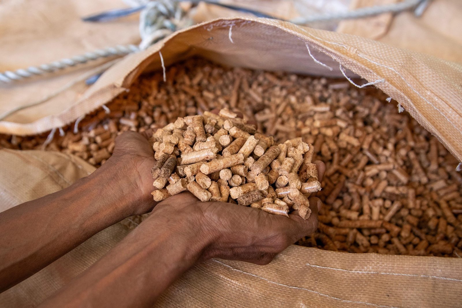 Proyek Deforestasi Mengancam Gorontalo