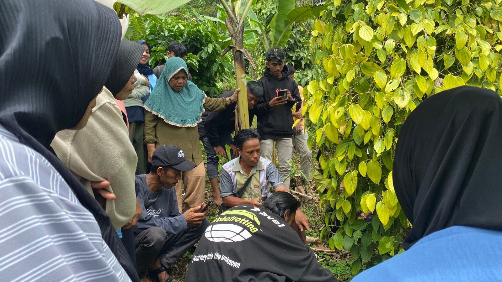 Refleksi Membangun Ketahanan Ekonomi dan Ekologi di Kebun Agroforestry