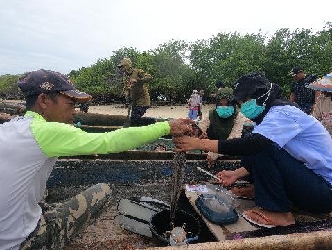 Setelah Tiga Bulan Ditutup, Tangkapan Gurita Torosiaje Melimpah