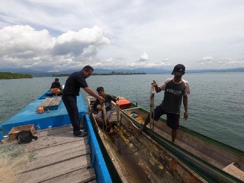 Setelah Tiga Bulan Penutupan, Nelayan Desa Uwedikan Panen Gurita