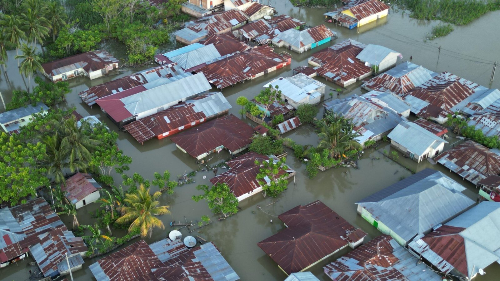 Tanggap Bencana, Simpul Walhi Gorontalo menyalurkan Bantuan Bersama Ikatan Apoteker Indonesia
